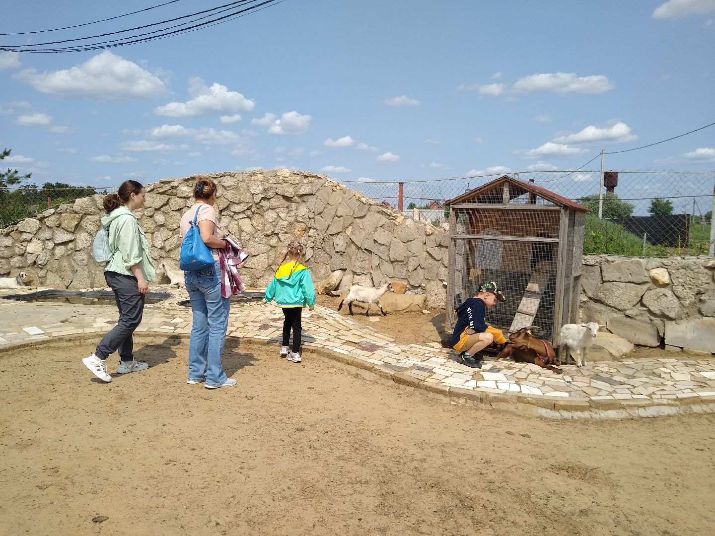 Раменское, экономика, праздник для детей на ферме в Заболотье
