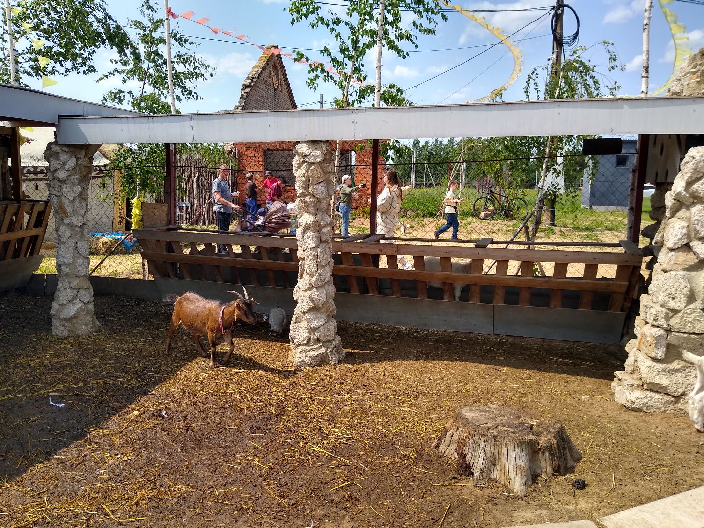 Раменское, экономика, праздник для детей на ферме в Заболотье