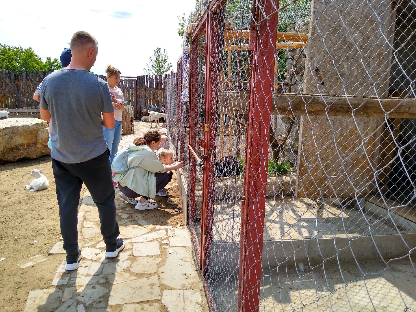 Раменское, экономика, праздник для детей на ферме в Заболотье