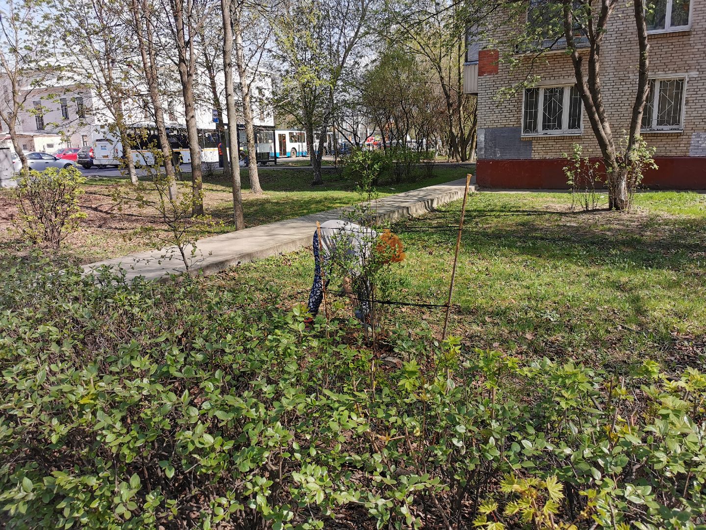 Подольск, акция