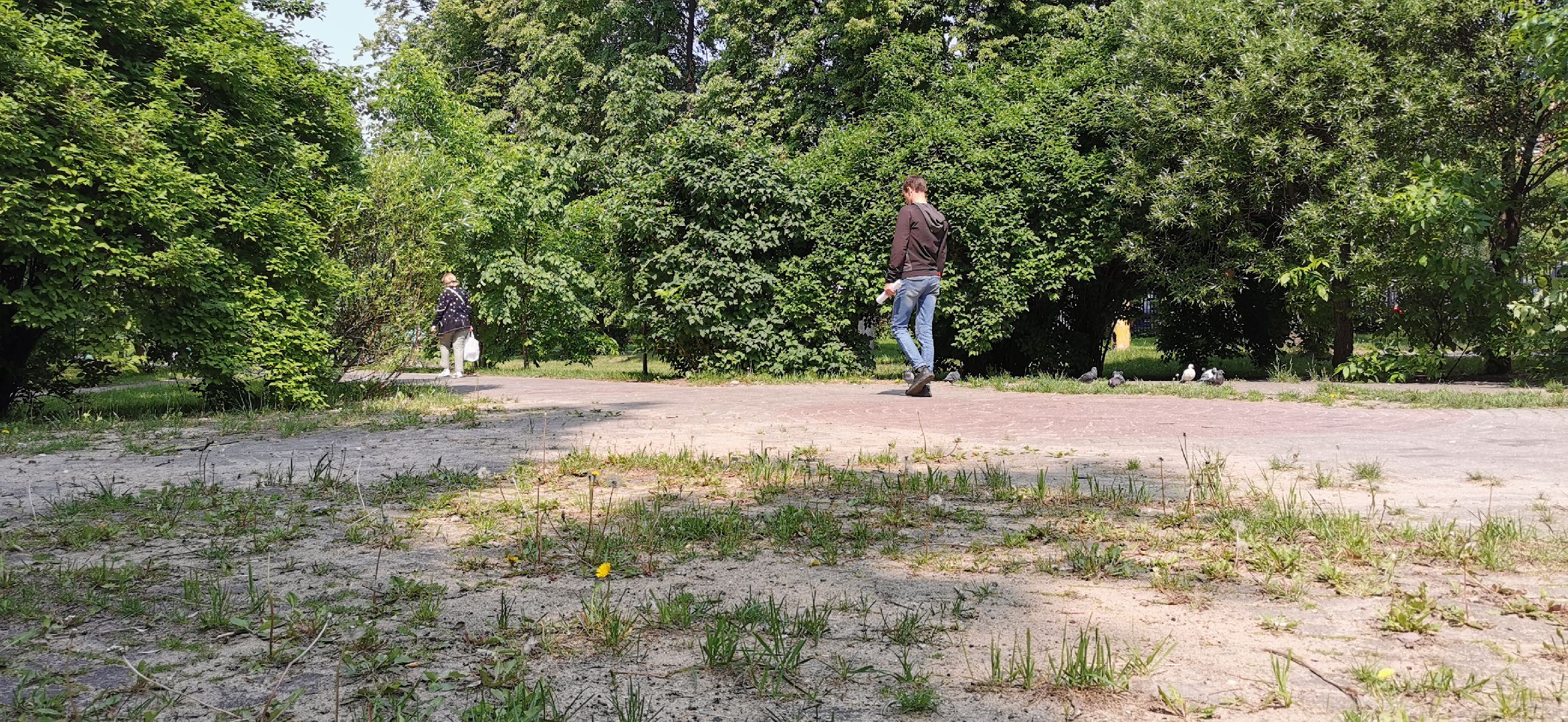 благоустройство, скверы, голосование,