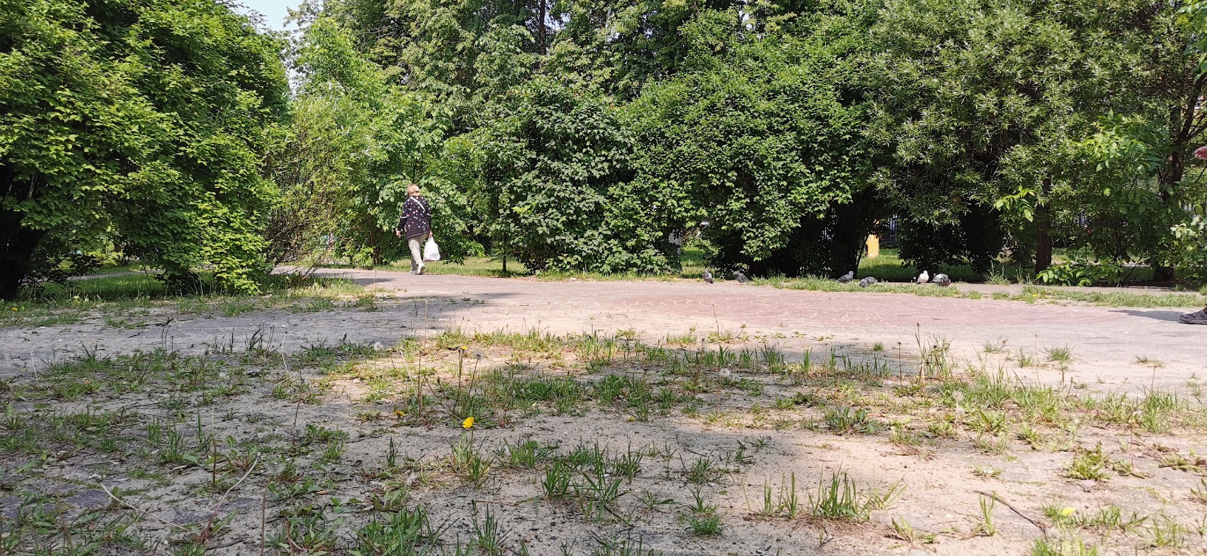 благоустройство, скверы, голосование,