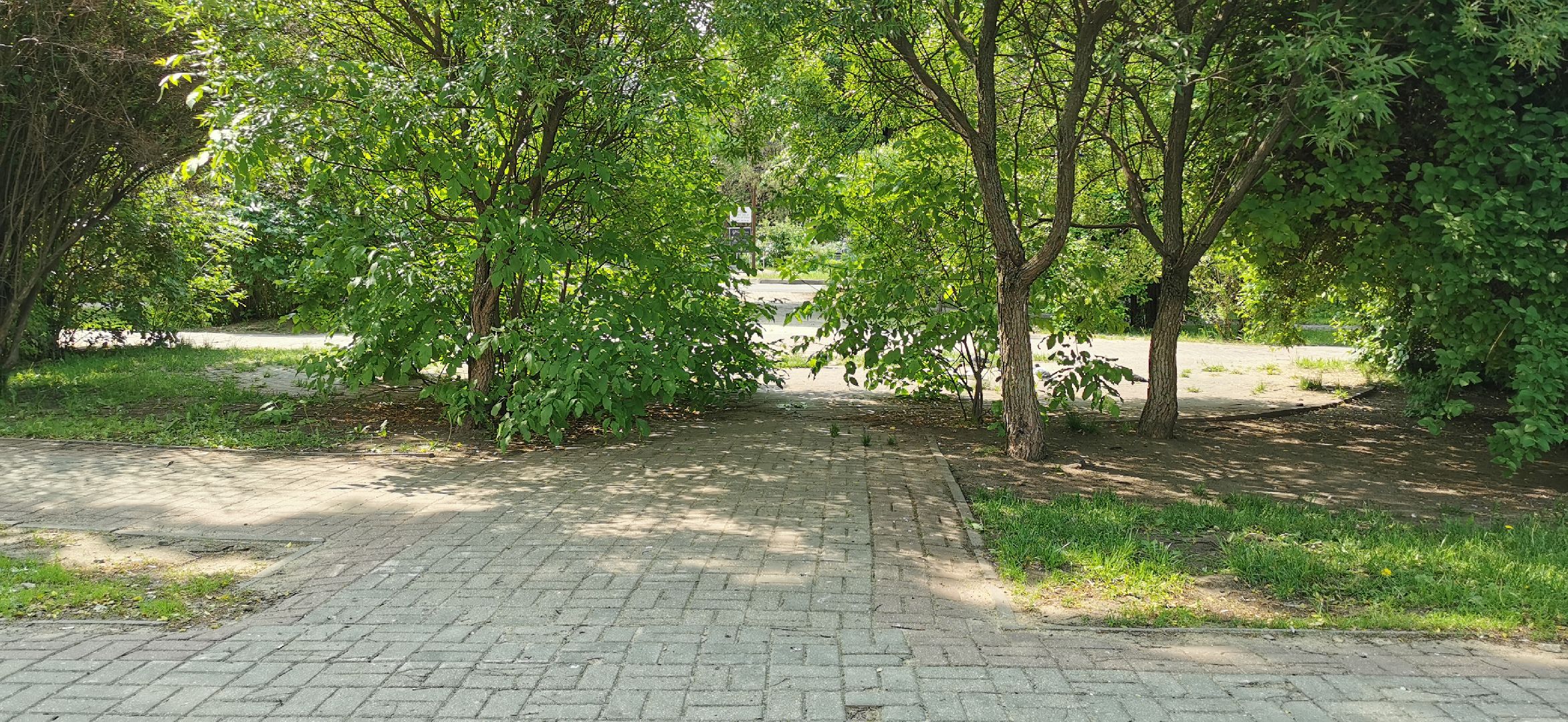 благоустройство, скверы, голосование,