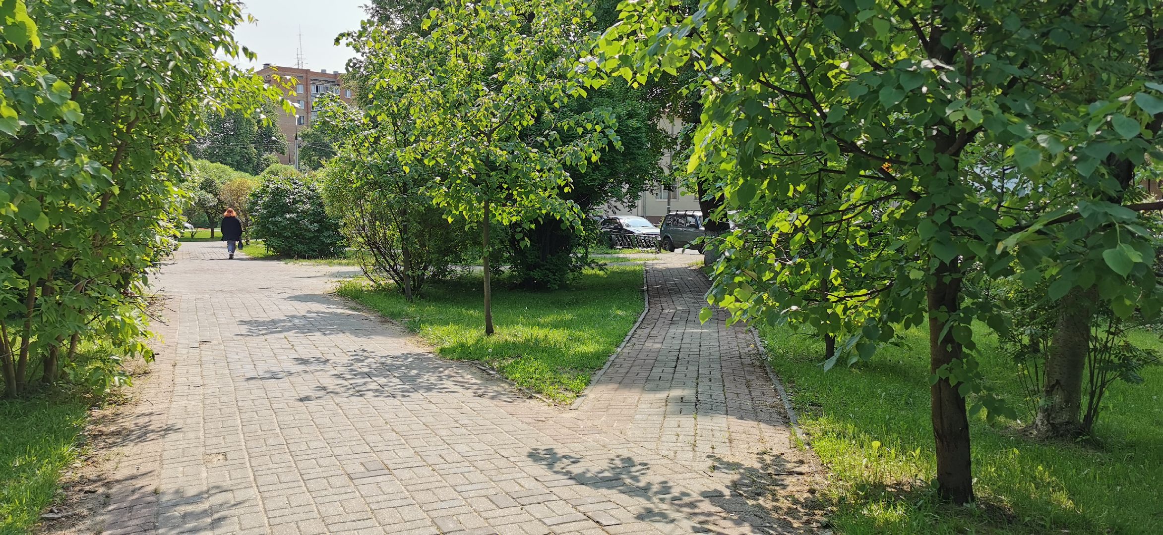 благоустройство, скверы, голосование,