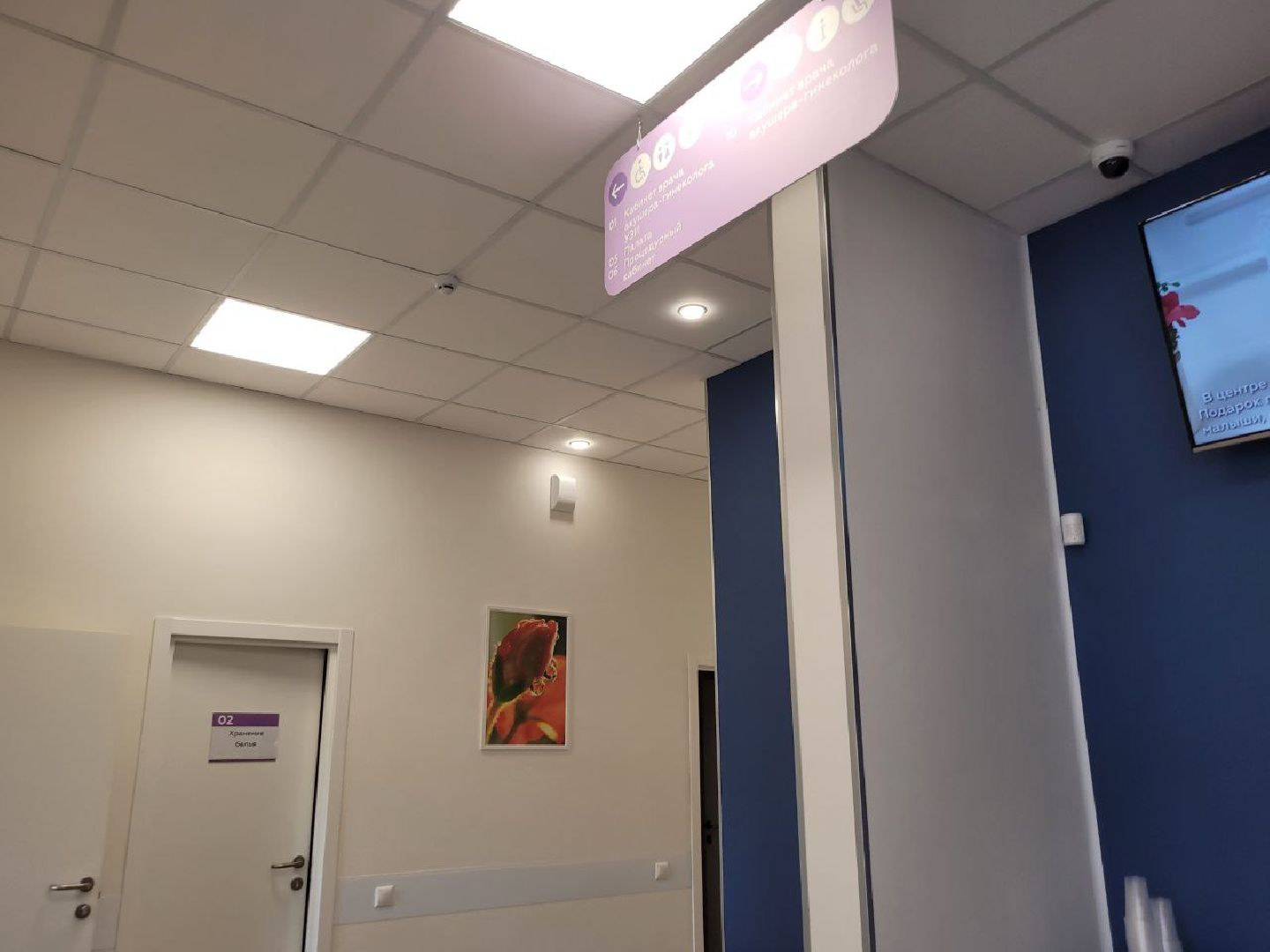 женская консультация; медицина; здравоохранение