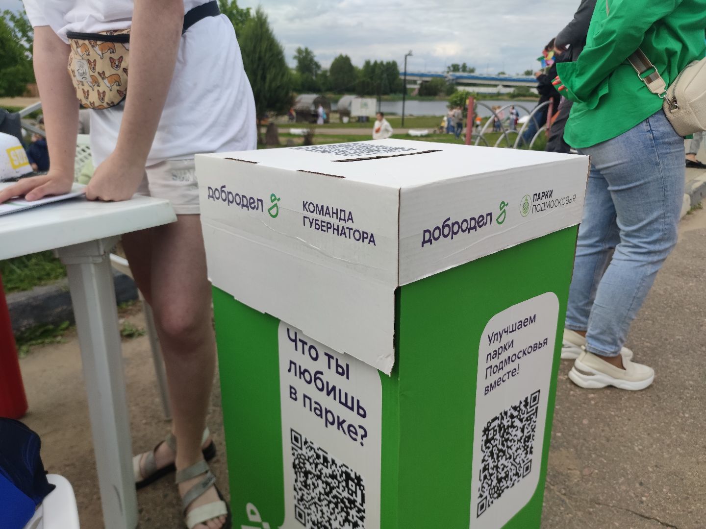 Голосование, парки, благоустройство, губернатор, Дубна