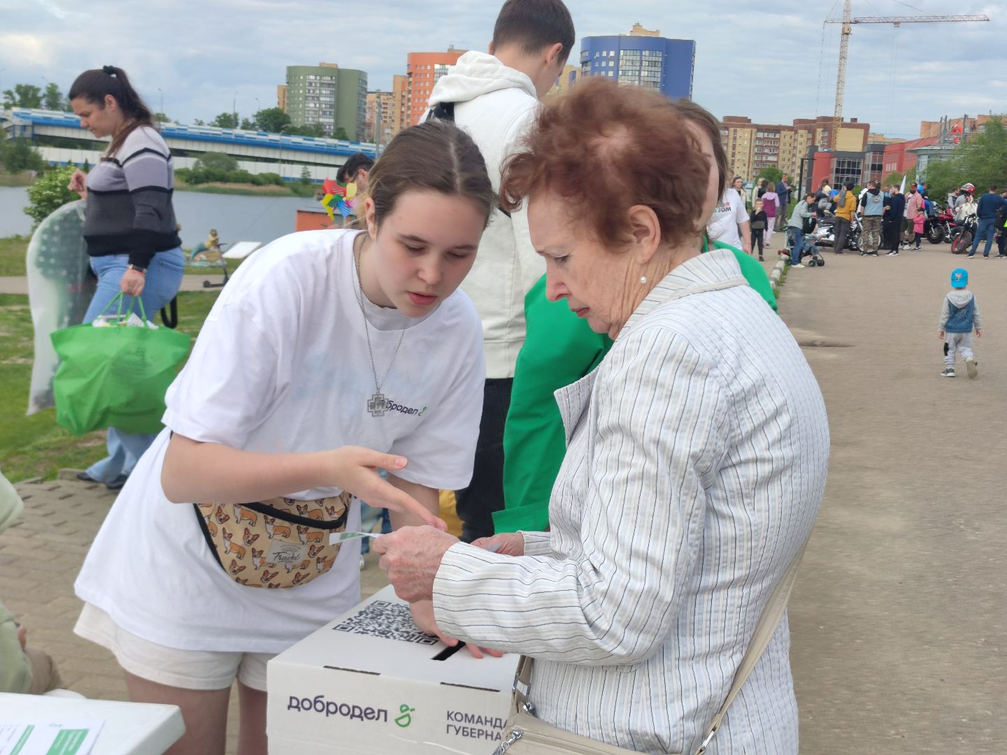 Голосование, парки, благоустройство, губернатор, Дубна