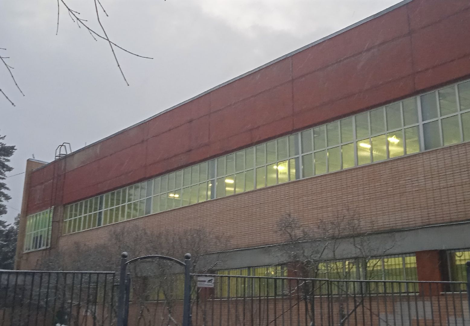 самбо, чемпионат, ЦФО, России, первенство, сборная