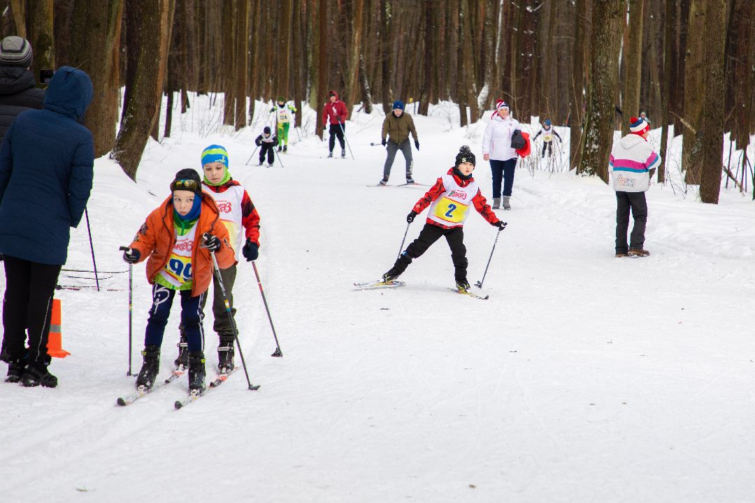Лыжи, гонка, соревнования, Дмитров