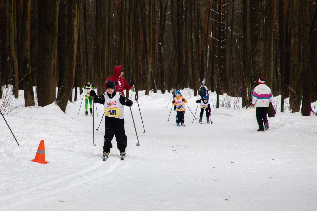 Лыжи, гонка, соревнования, Дмитров