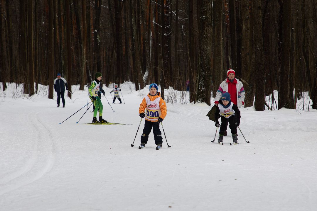 Лыжи, гонка, соревнования, Дмитров