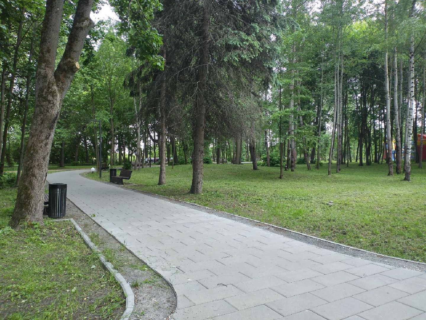 благоустройство, парки Подмосковья, голосование, Лосино-Петровский