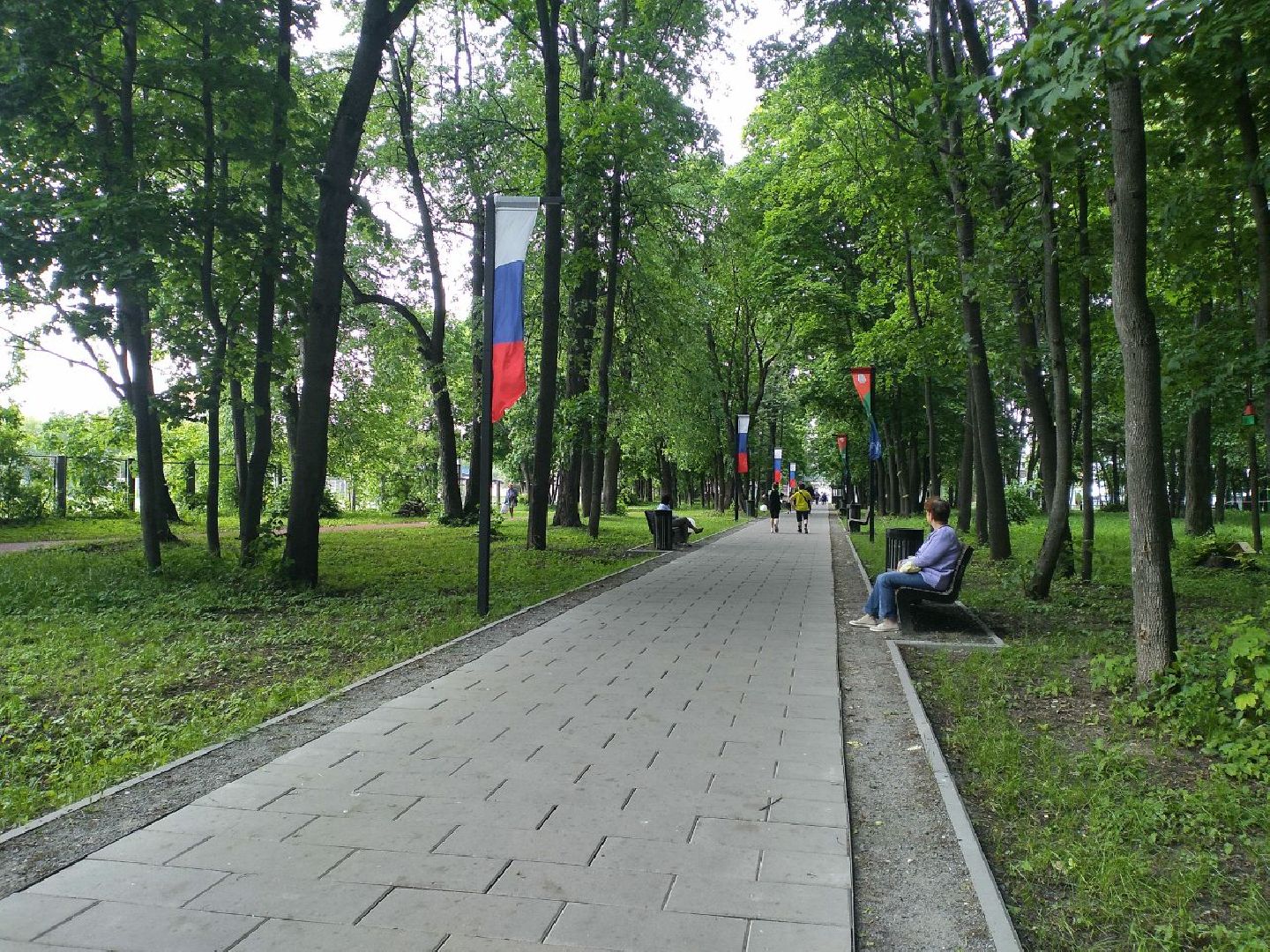 благоустройство, парки Подмосковья, голосование, Лосино-Петровский