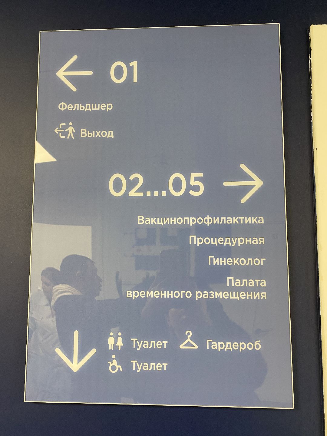 Медицина, телемедицина, Чехов