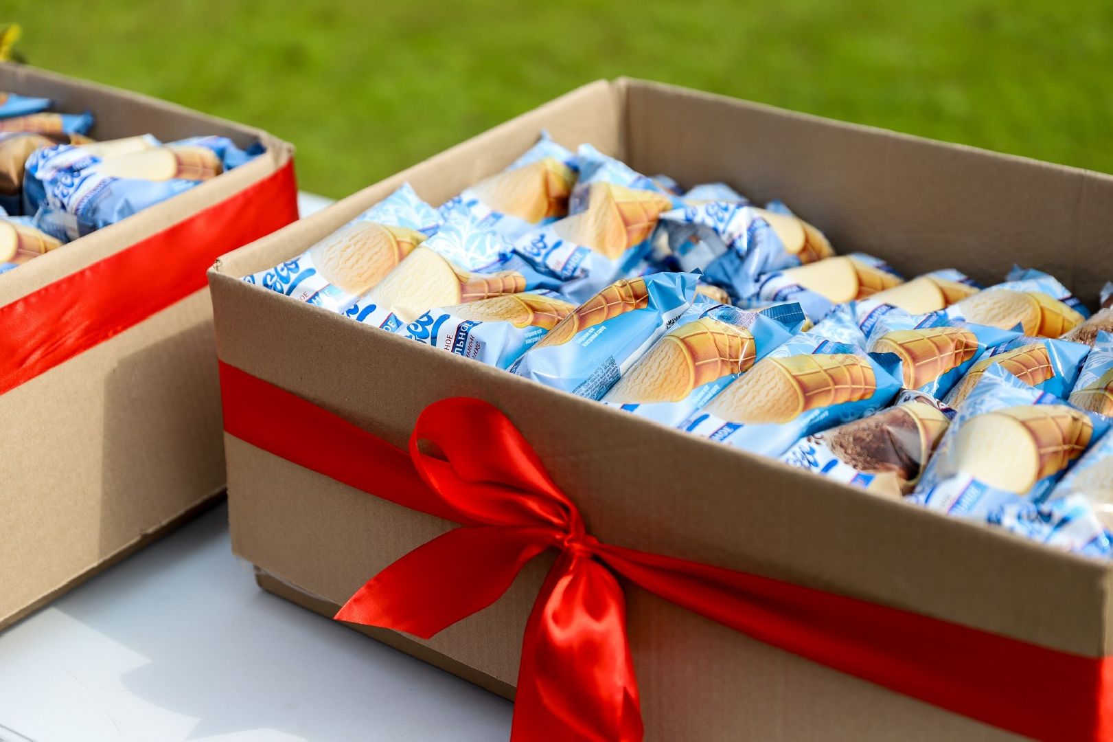 Солнечногорск, Чистогорье, трудовойотряд, благоустройство, муниципалитет