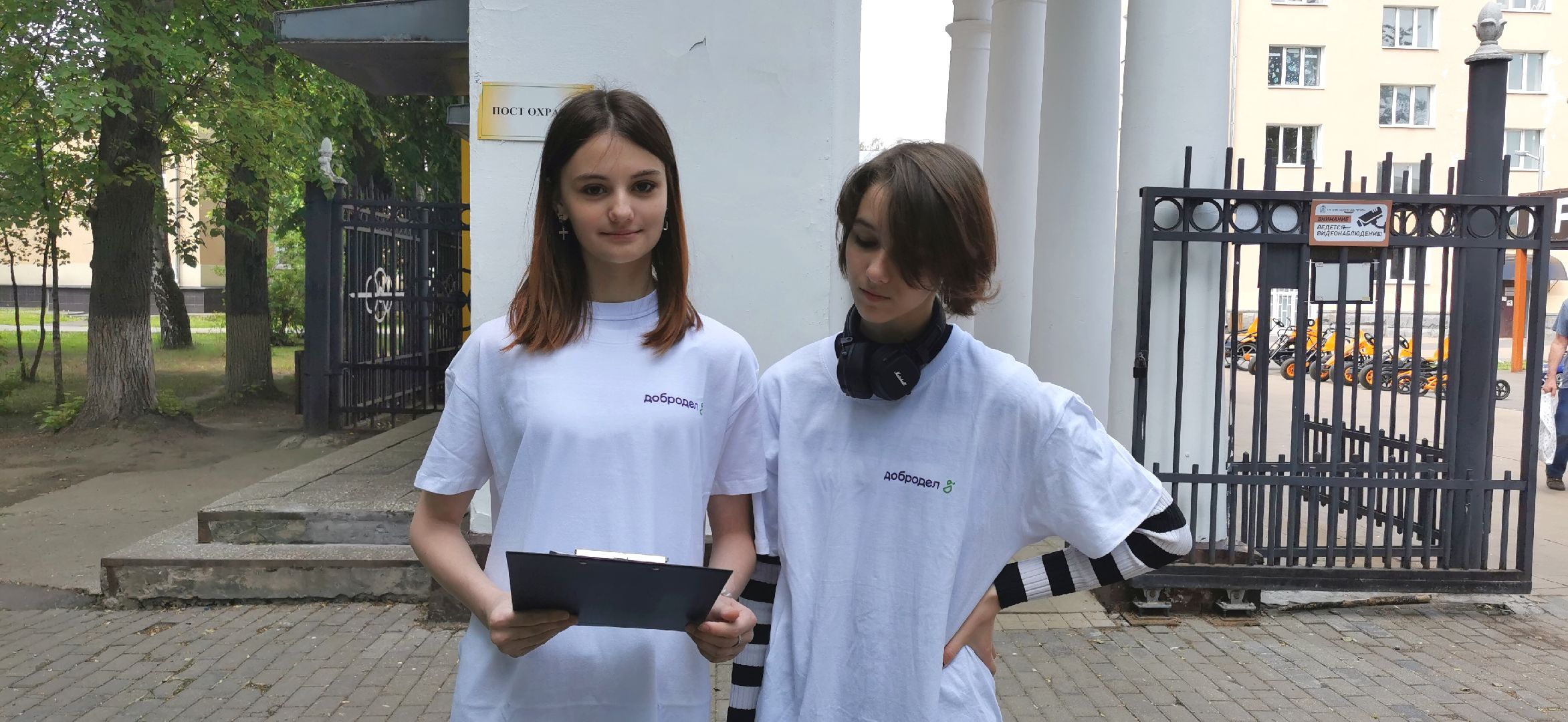 волонтёры, парки, голосование, добродел,
