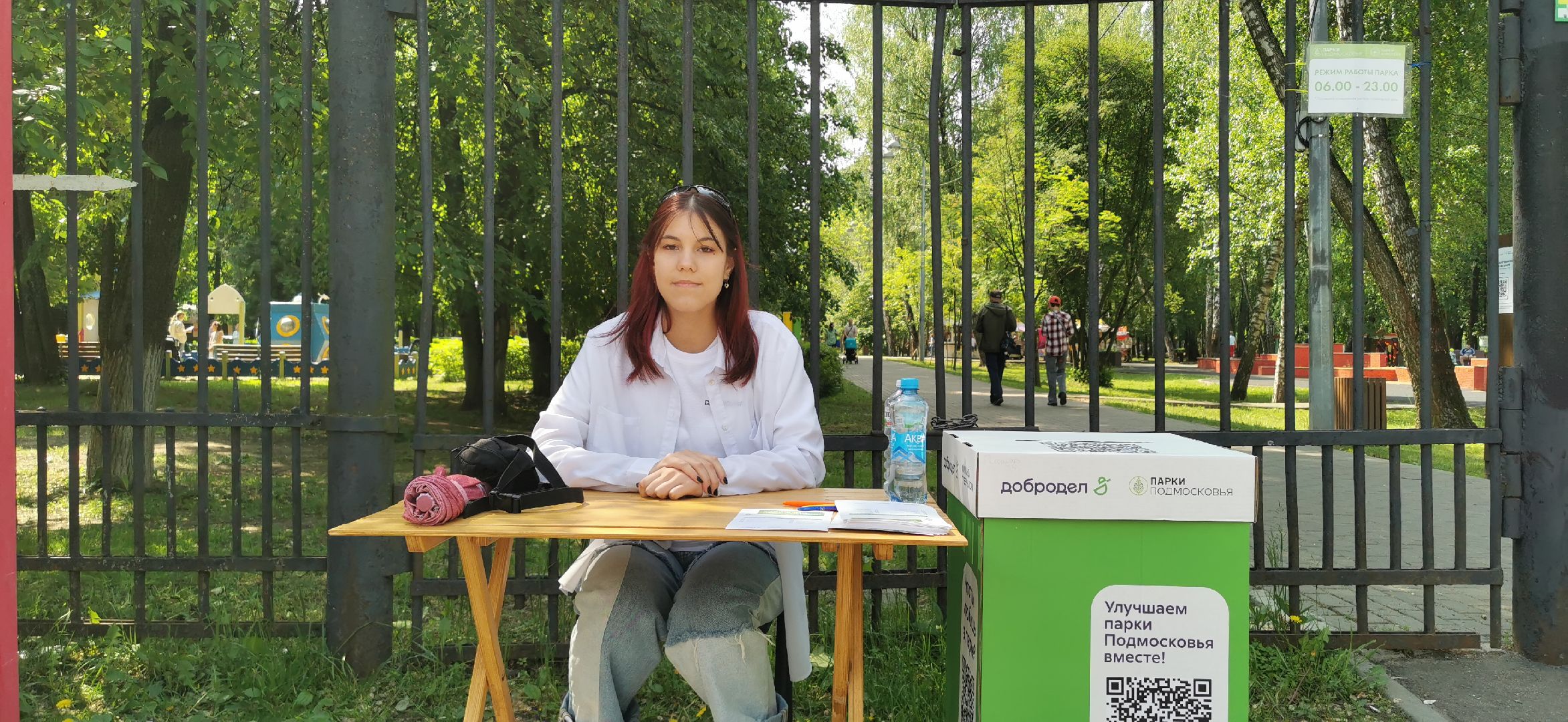 волонтёры, парки, голосование, добродел,