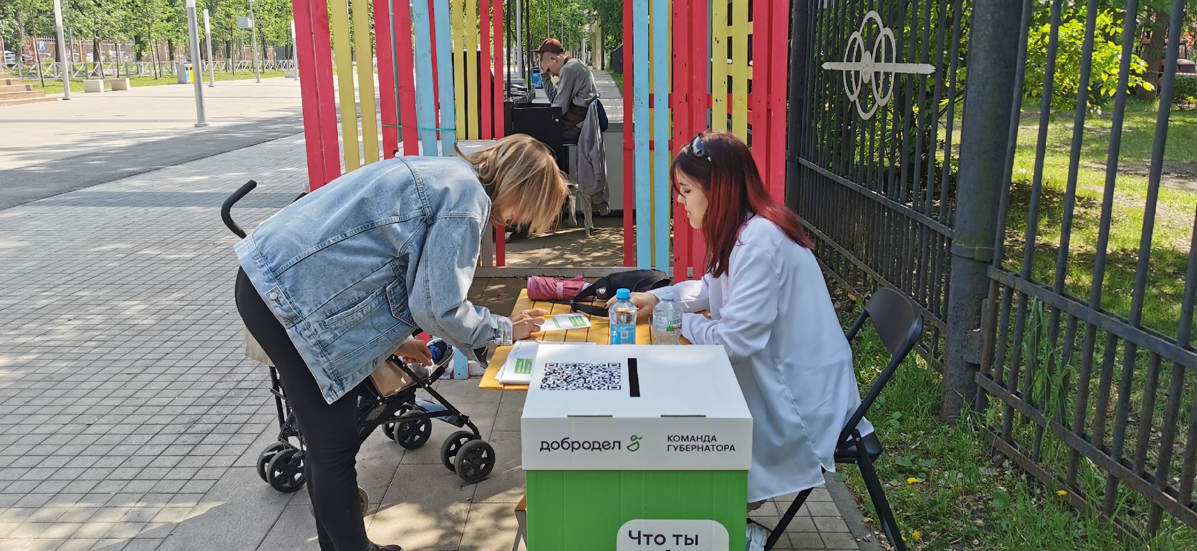 волонтёры, парки, голосование, добродел,