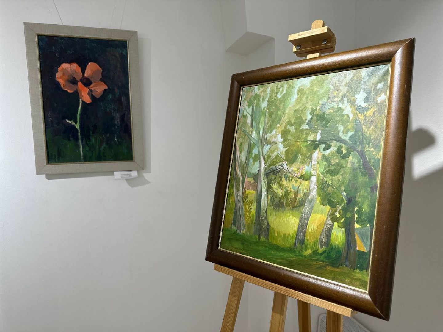 Реутов, культура, выставка, цветы, животные, музей