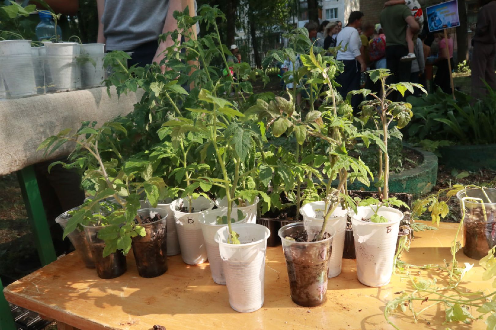 Пущино, экология