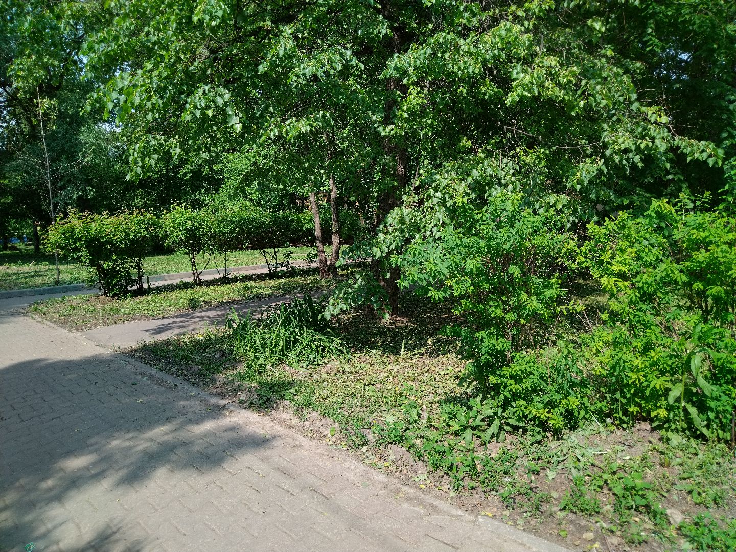 Благоустройство, Мытищи, Аллея ветеранов