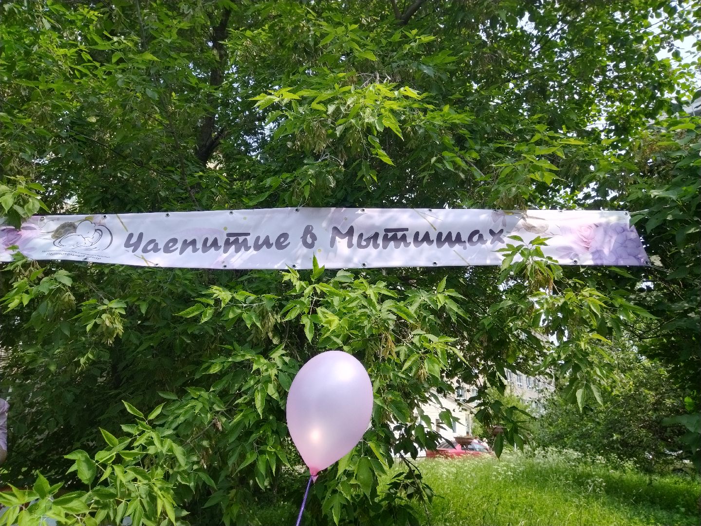 Школа матери, перинатальный центр, Мытищи, роддом