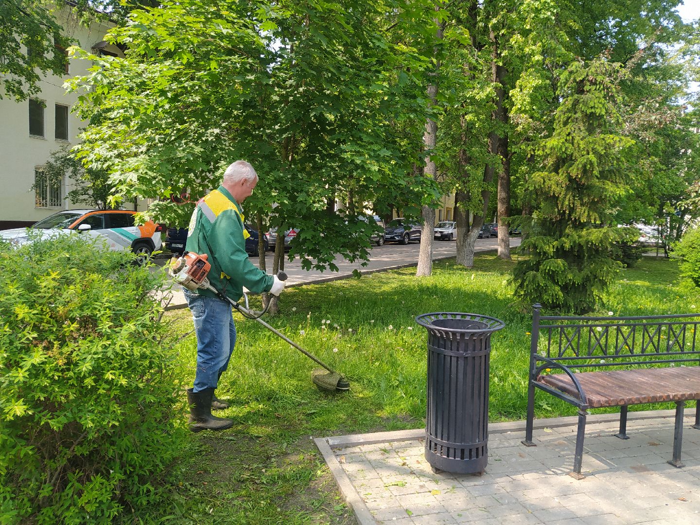 Газон, благоустройство, город