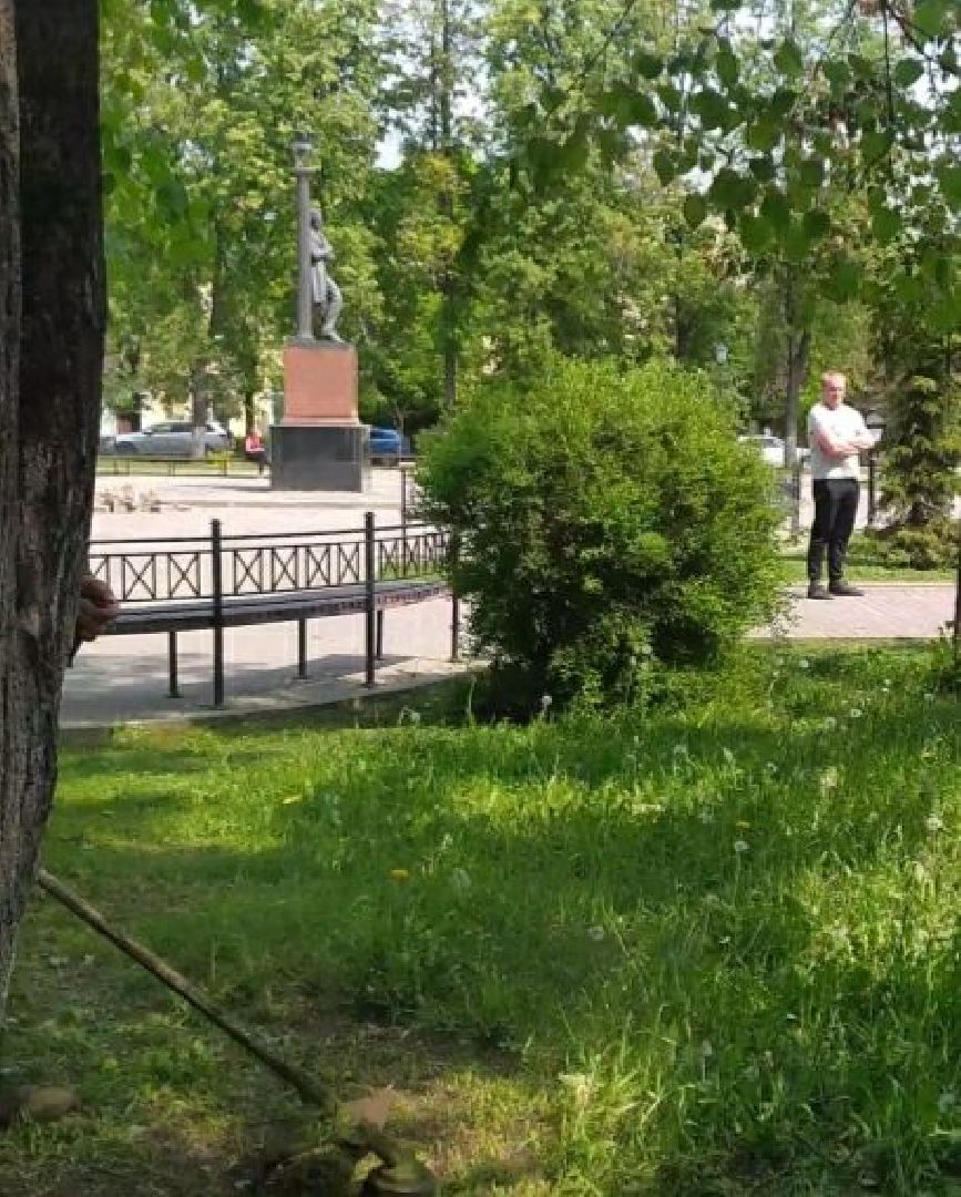 Газон, благоустройство, город