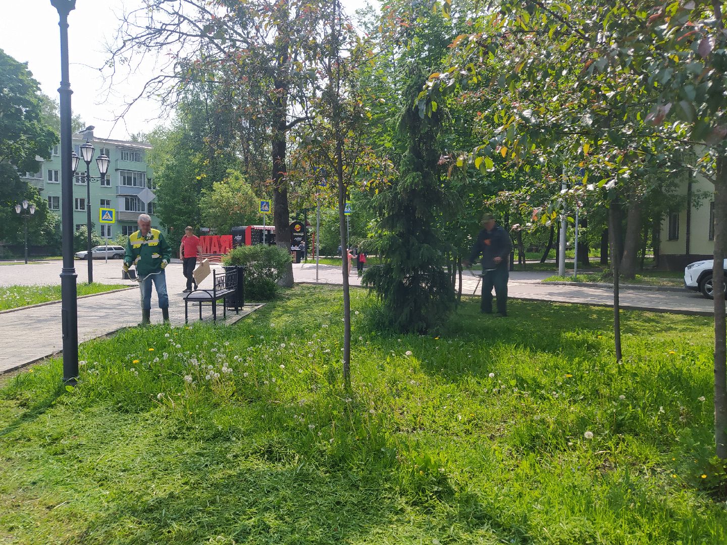 Газон, благоустройство, город