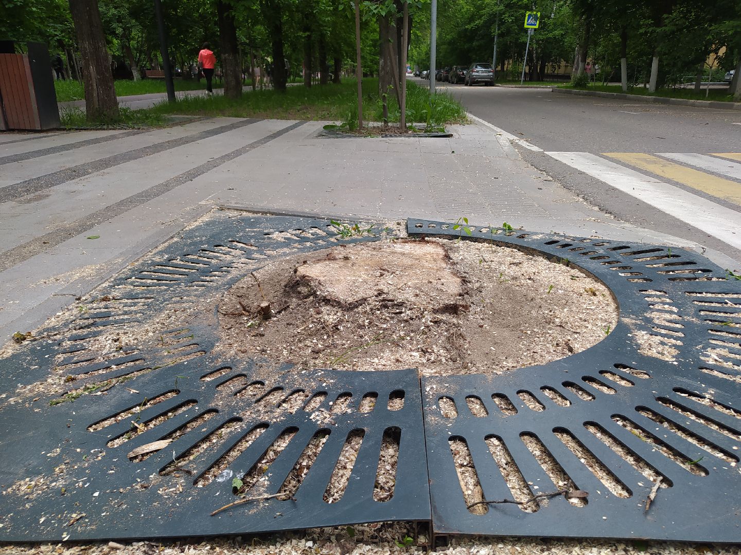 Спил, арборист, деревья, автовышка