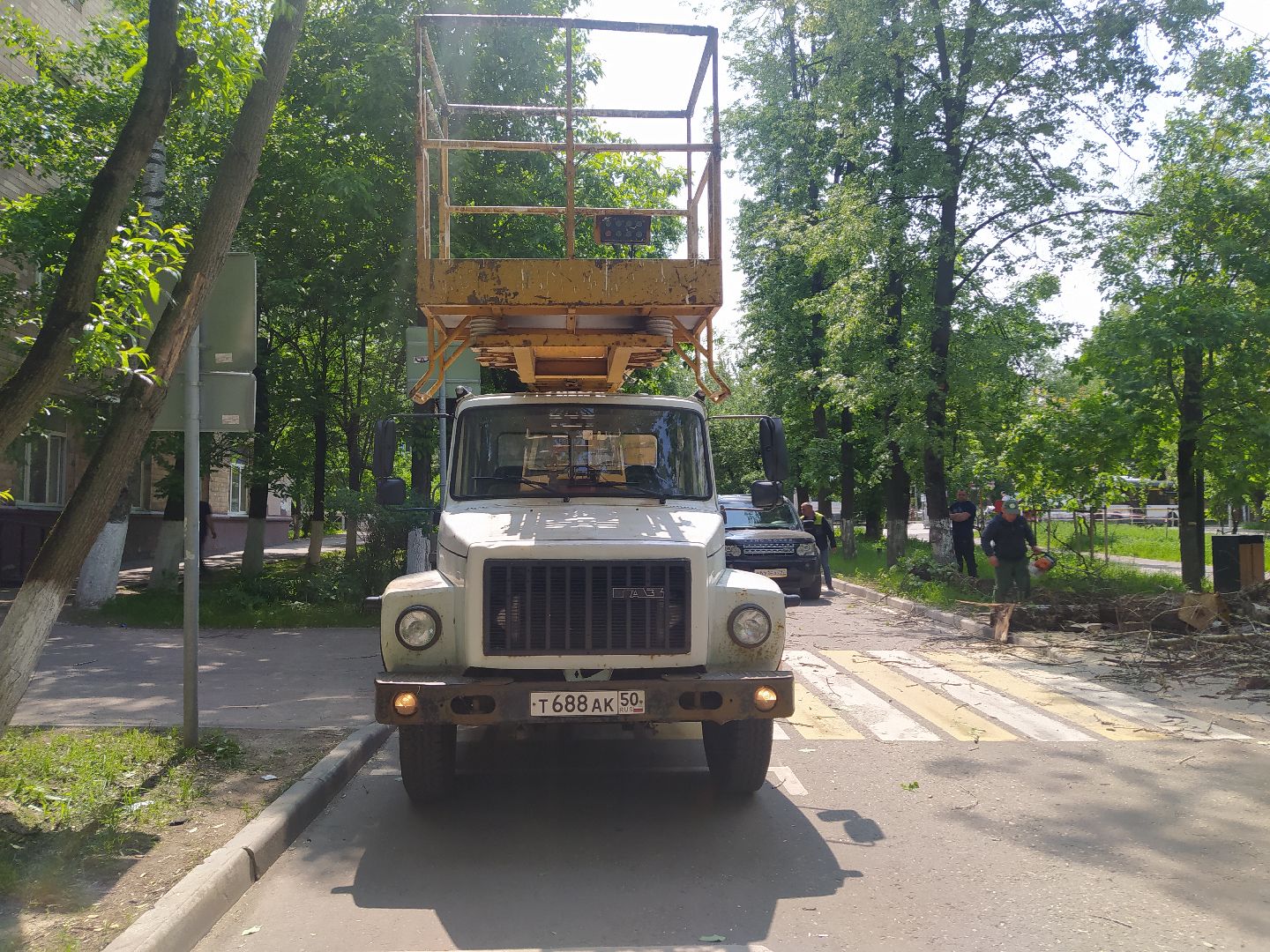 Спил, арборист, деревья, автовышка