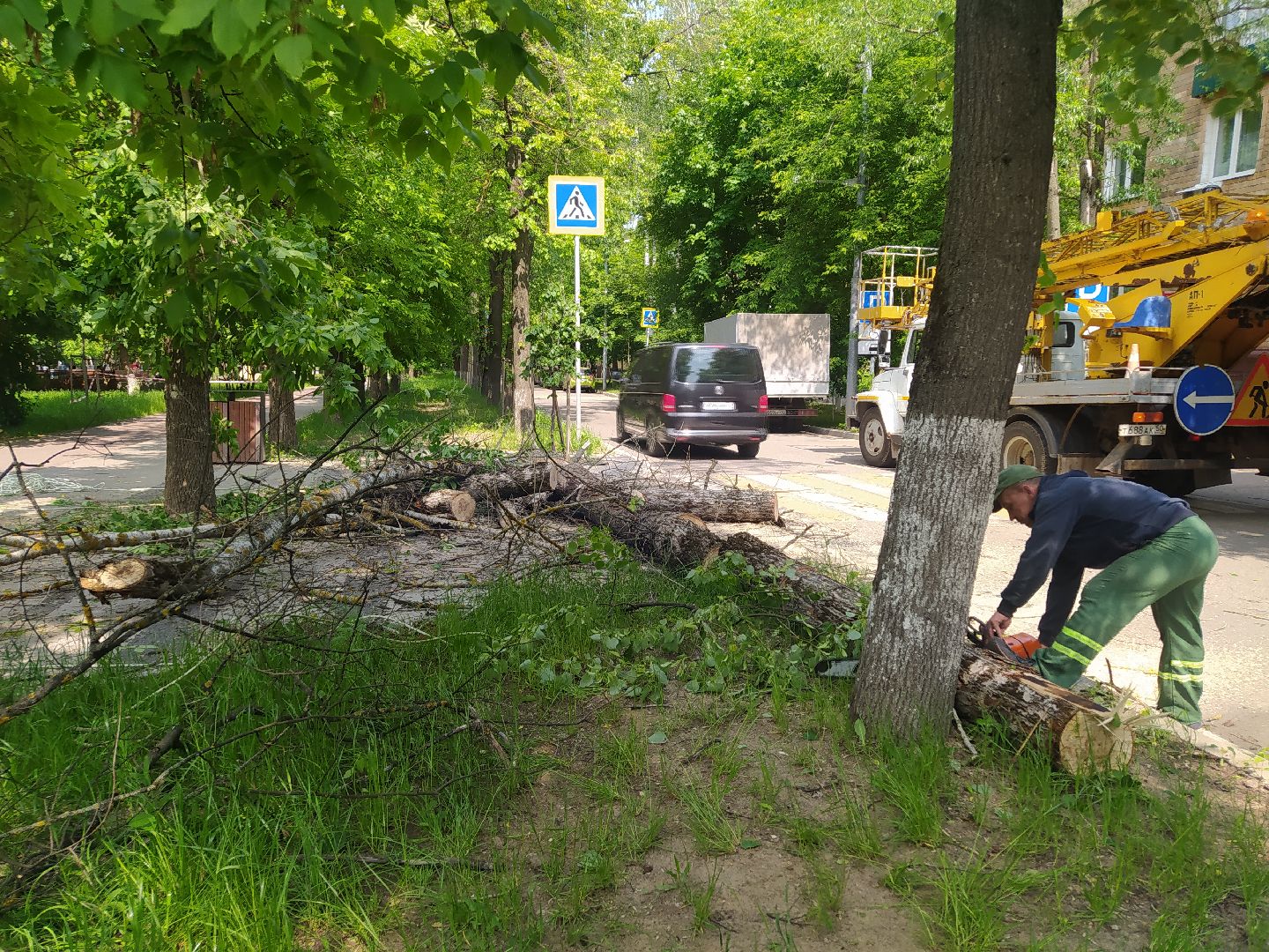 Спил, арборист, деревья, автовышка