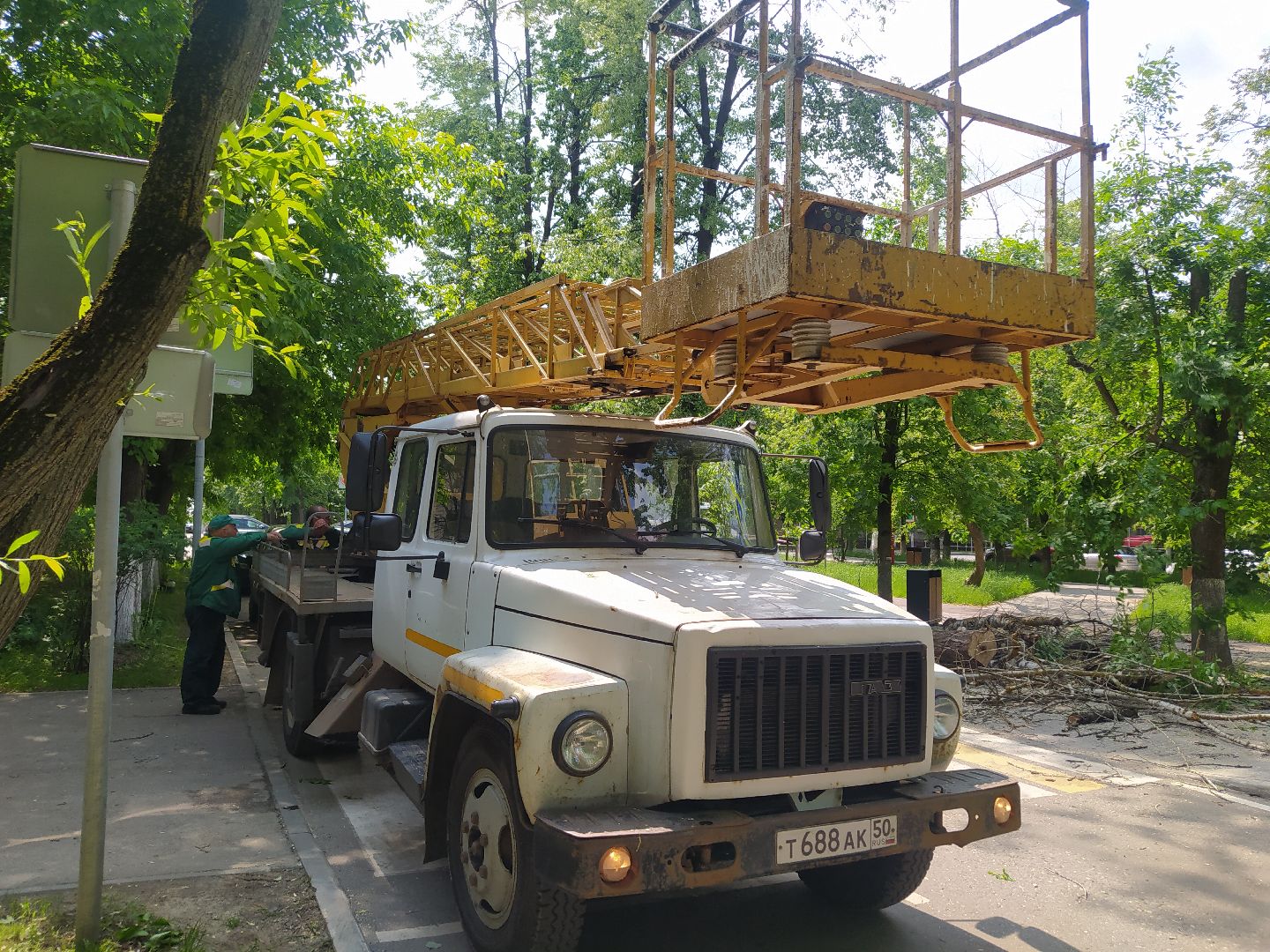 Спил, арборист, деревья, автовышка