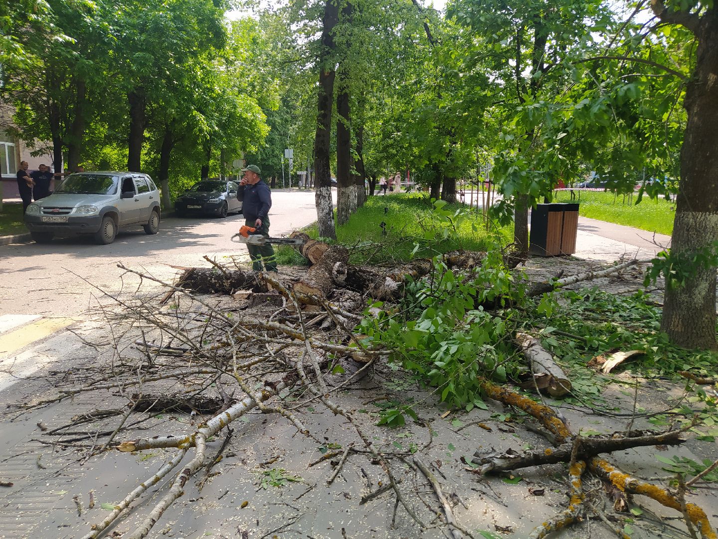 Спил, арборист, деревья, автовышка