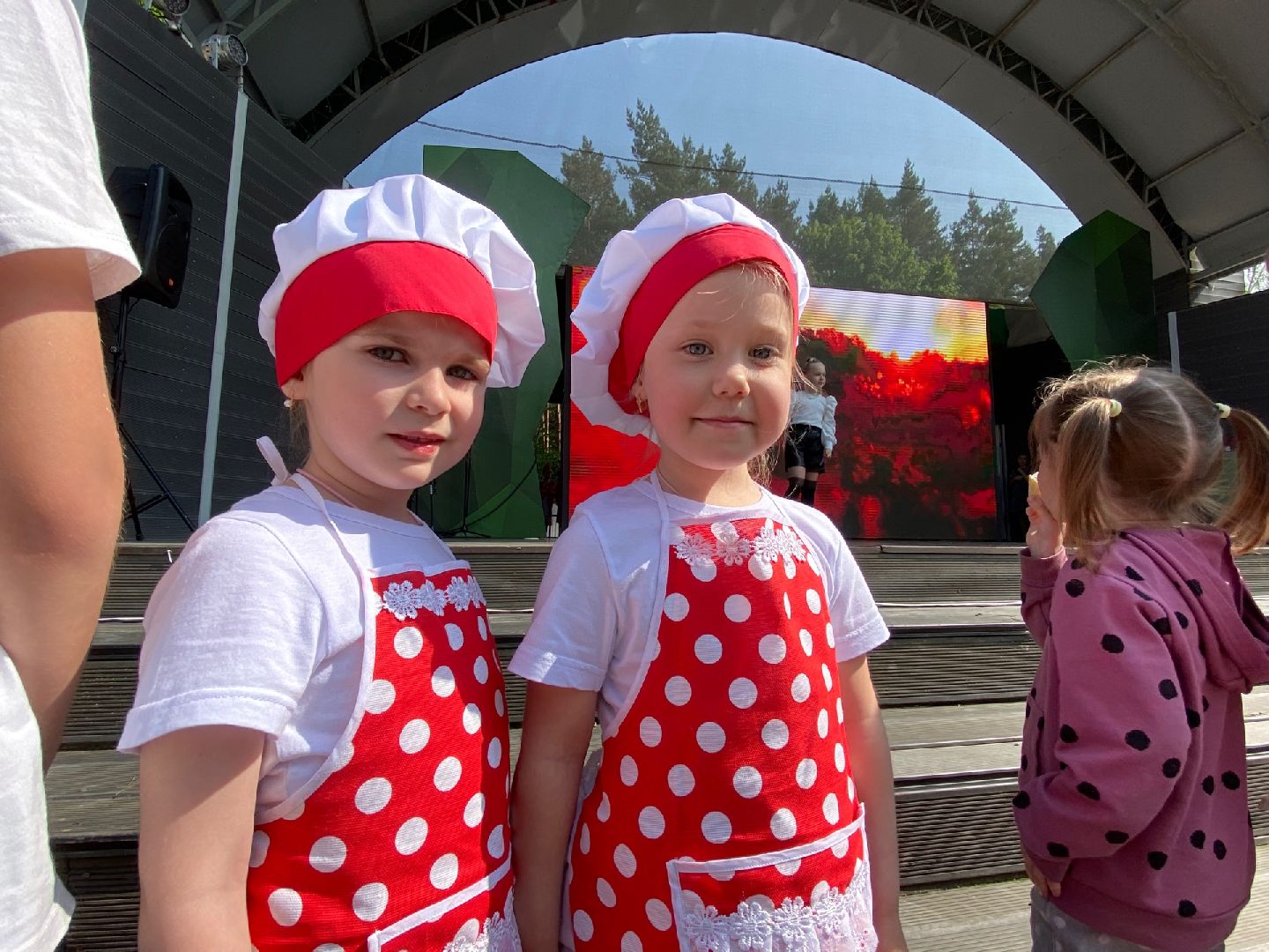 Домодедово, парк Елочки, концерт, ансамбль, творчество, дети