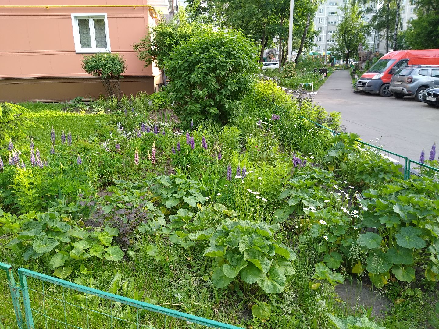Раменское, благоустройство, палисадник, цветущий пень