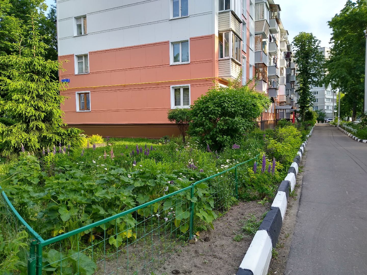 Раменское, благоустройство, палисадник, цветущий пень