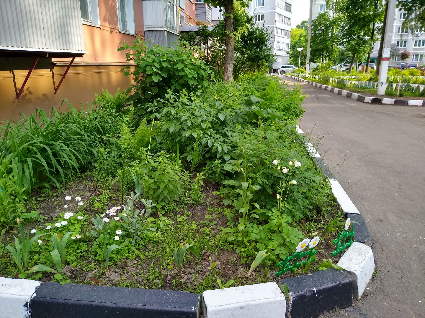 Раменское, благоустройство, палисадник, цветущий пень