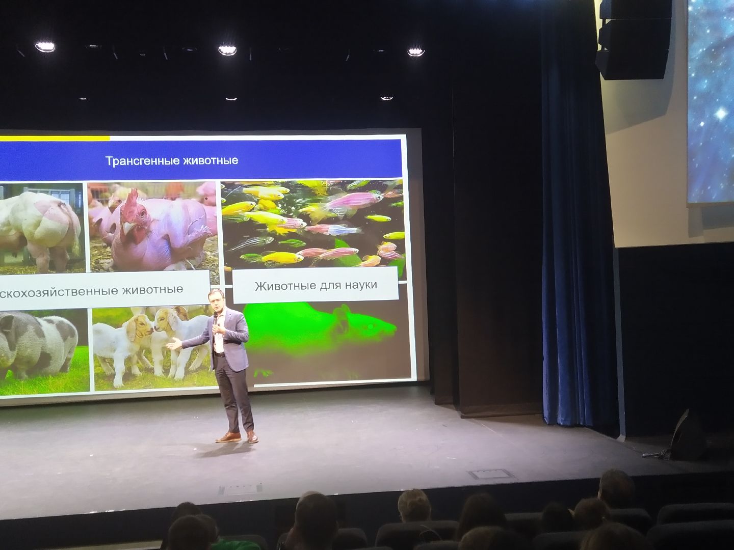 Долгопрудный, наука, опыты, фестиваль, мифы, конспирология, эксперименты