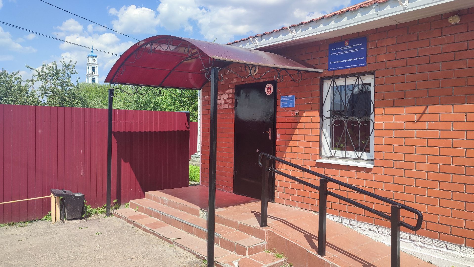 Кашира, ветеринар, грипп птиц, куры, гуси, утки