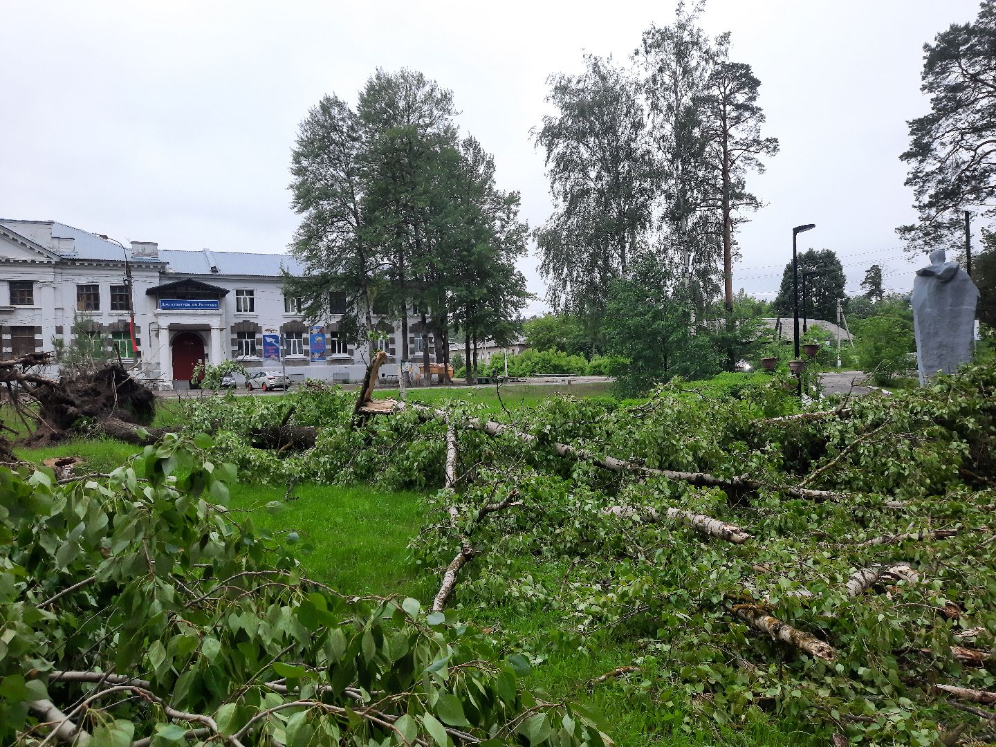 Шатура, ЧП, Ураган, Град, Поваленные деревья, Шатурторф, Рошаль