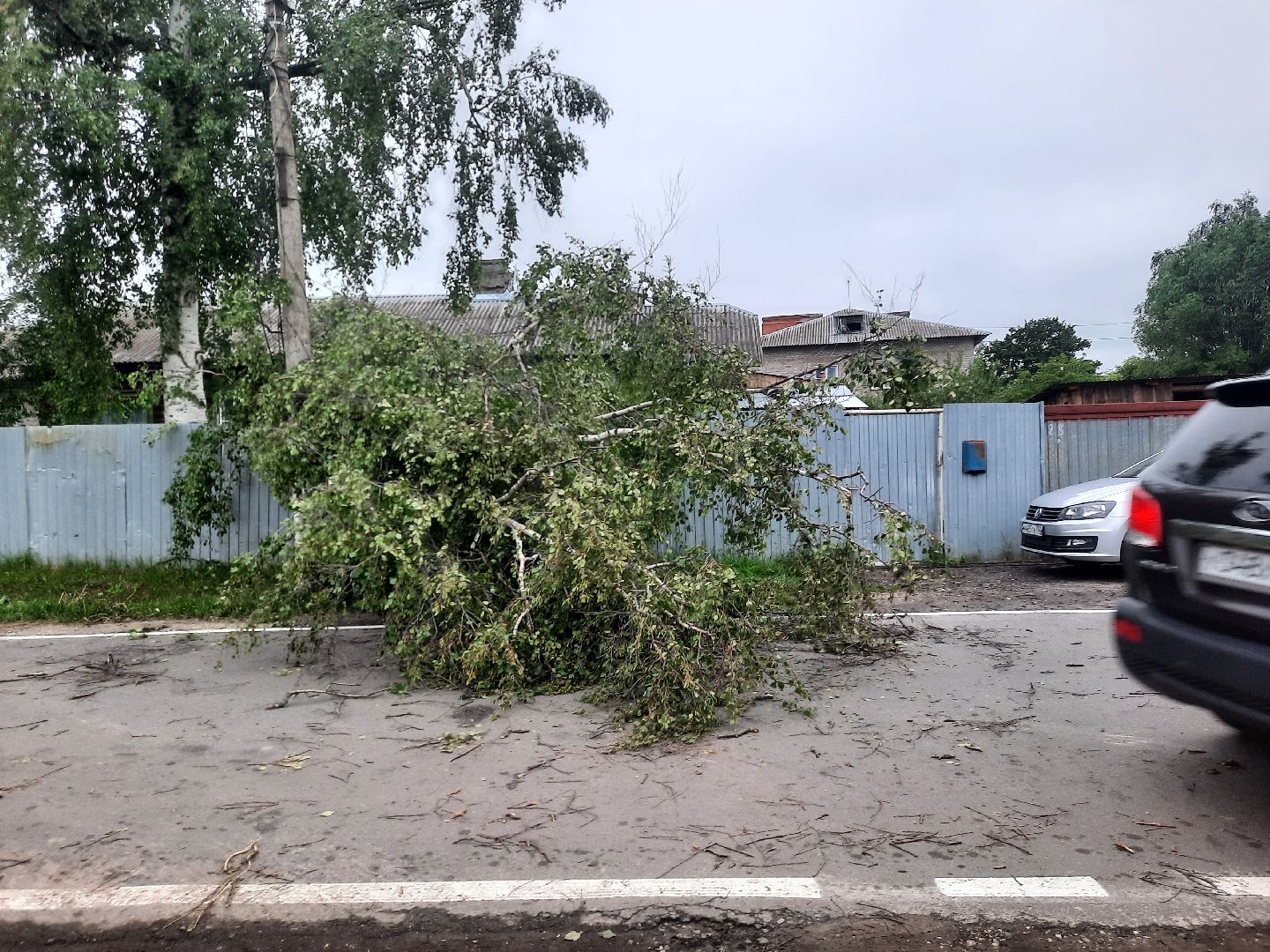 Шатура, ЧП, Ураган, Град, Поваленные деревья, Шатурторф, Рошаль