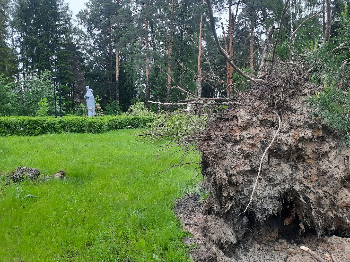 Шатура, ЧП, Ураган, Град, Поваленные деревья, Шатурторф, Рошаль