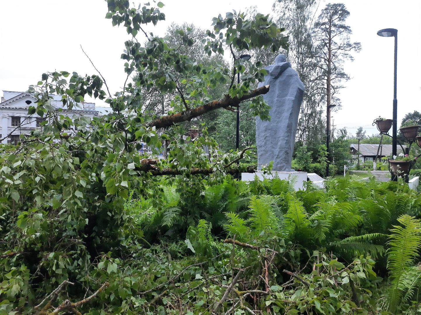 Шатура, ЧП, Ураган, Град, Поваленные деревья, Шатурторф, Рошаль