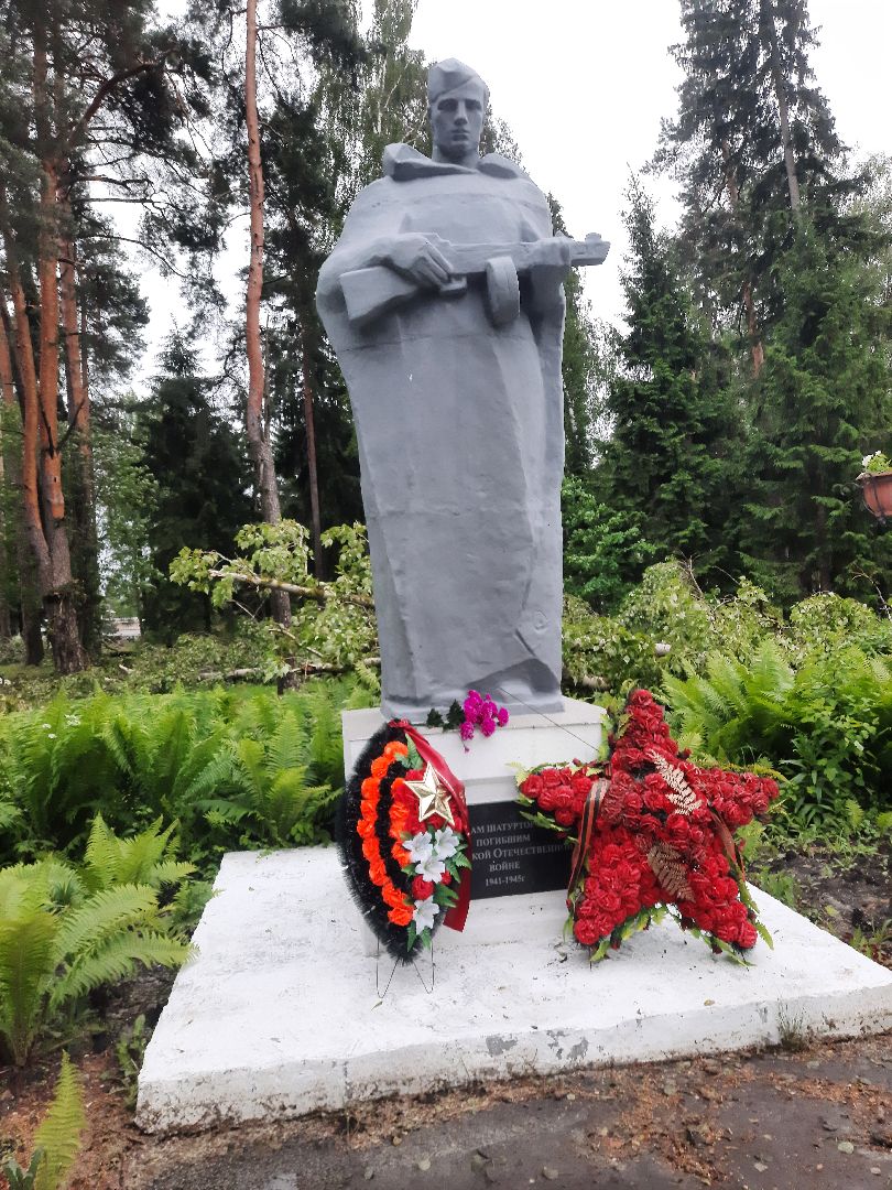 Шатура, ЧП, Ураган, Град, Поваленные деревья, Шатурторф, Рошаль