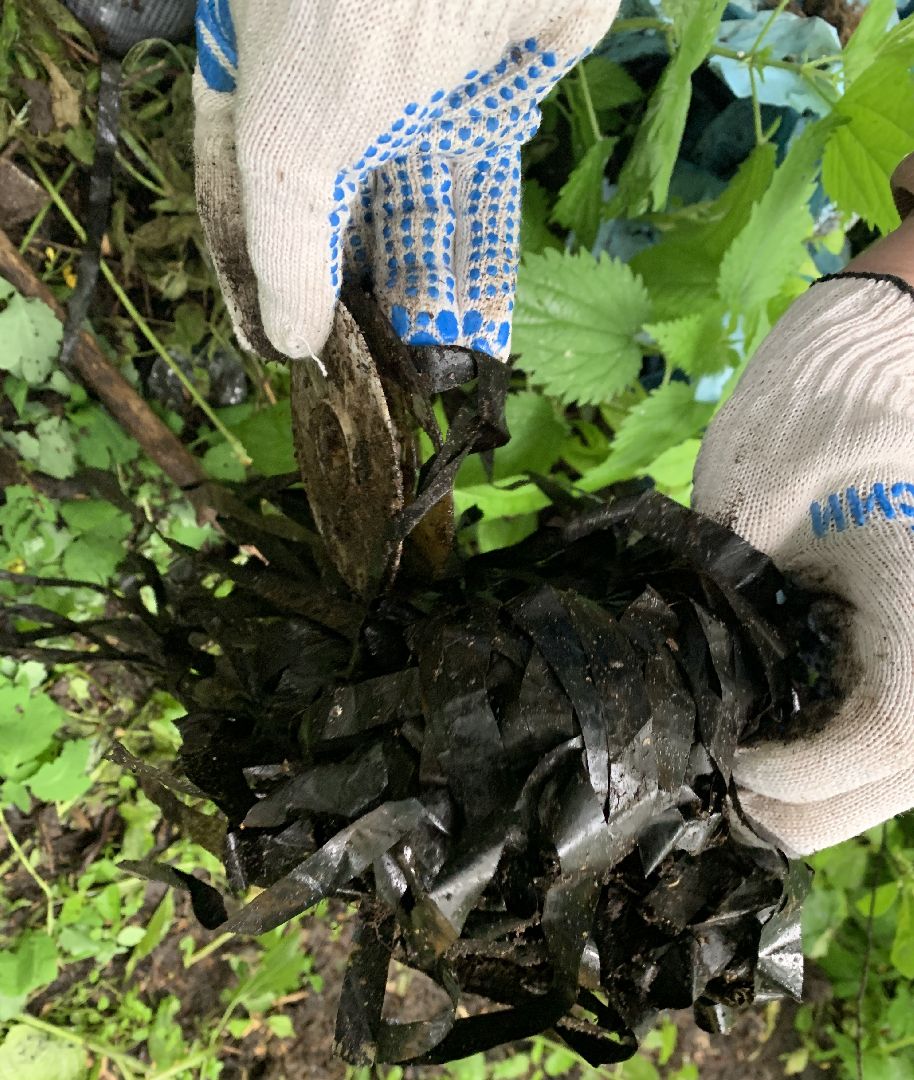 Балашиха, Подмосковье, экология, акция, Вода России, реки