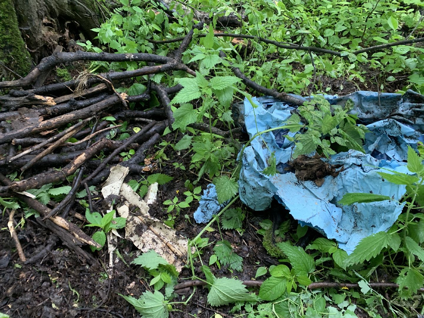 Балашиха, Подмосковье, экология, акция, Вода России, реки