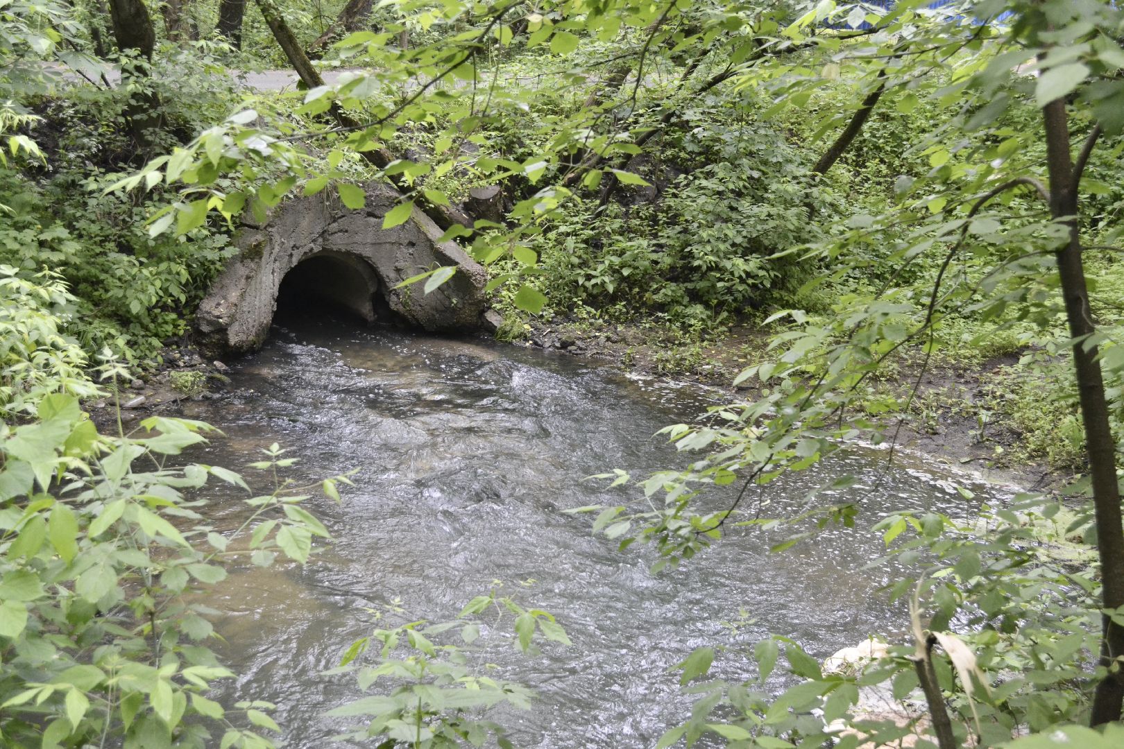 Балашиха, Подмосковье, экология, акция, Вода России, реки