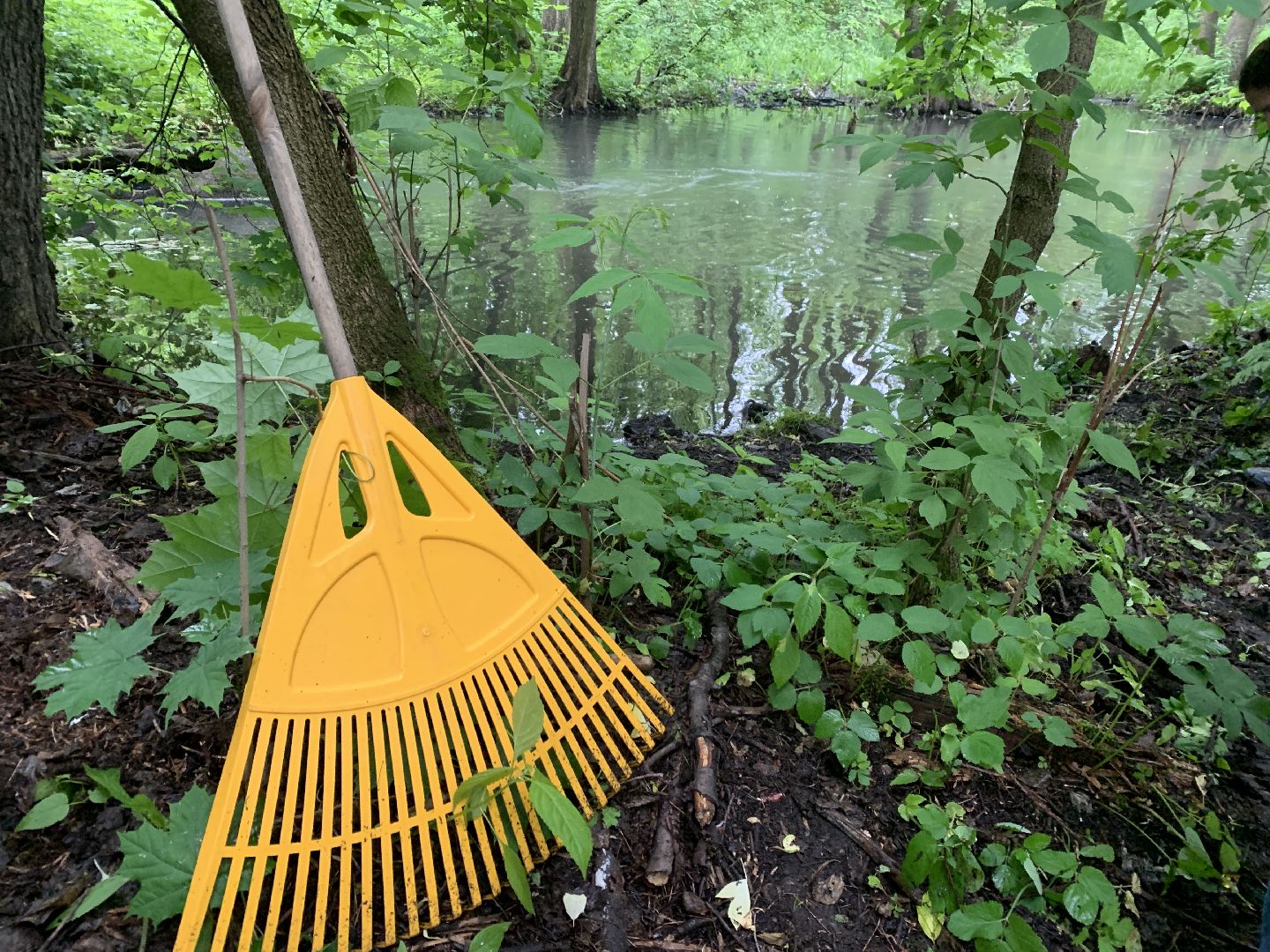 Балашиха, Подмосковье, экология, акция, Вода России, реки