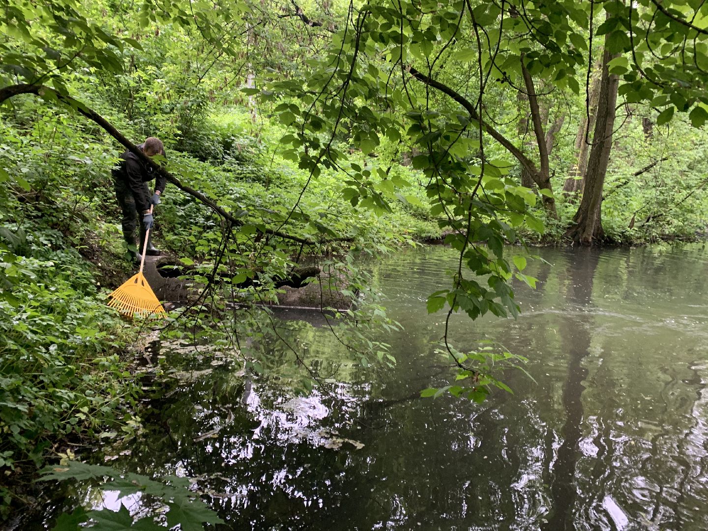 Балашиха, Подмосковье, экология, акция, Вода России, реки